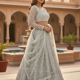 Premium Butterfly Net Lehenga