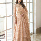 Alizeh Premium Net Embroidered Lehenga