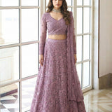 Alizeh Premium Net Embroidered Lehenga