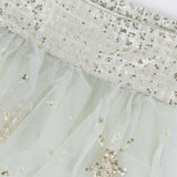 Premium Net Zari Embroidered Lehenga