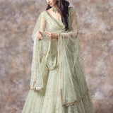 Premium Net Zari Embroidered Lehenga