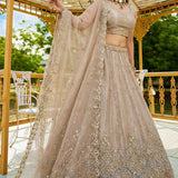 Lavis Wedding Motif Work Lehenga