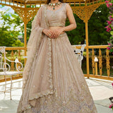 Royal Motif Hand Work Bridal Lehenga