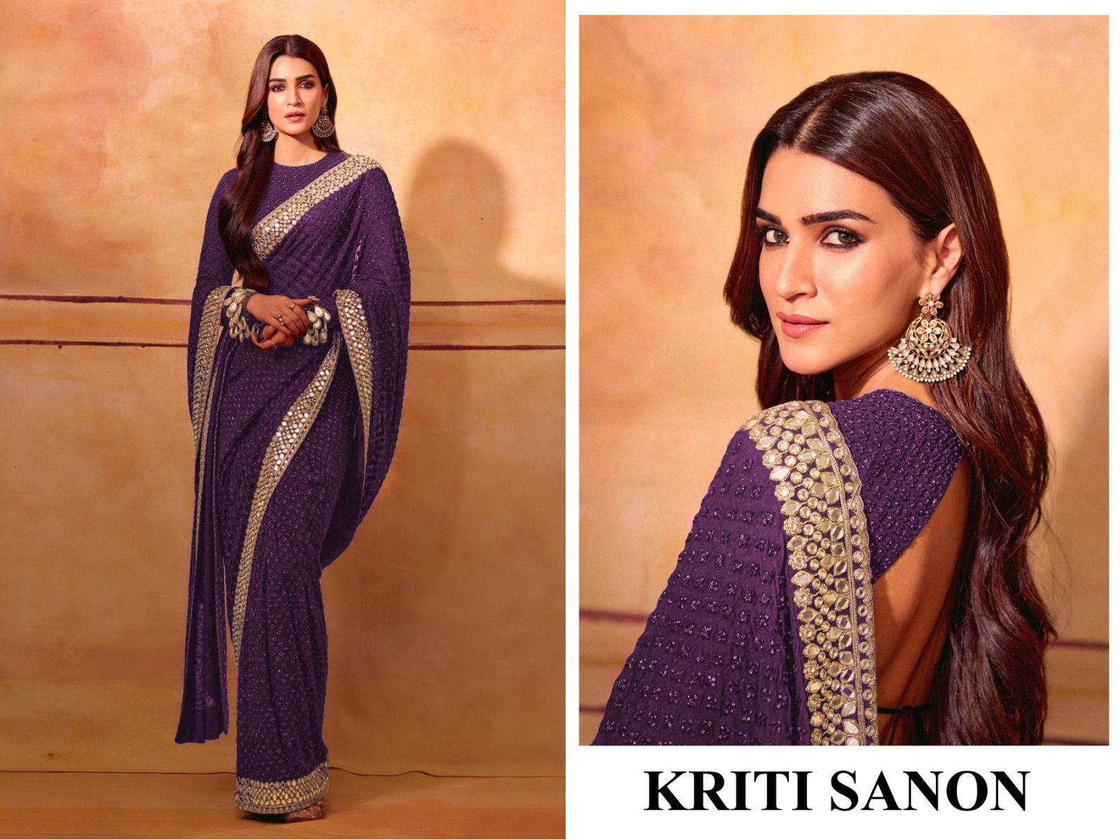 Celebrity Mirror Work Embroidered Saree