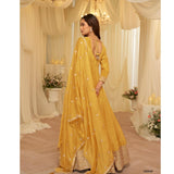 Aaradhana Viscose Silk Anarkali Gown