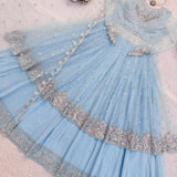 Charming Georgette Top Lehenga