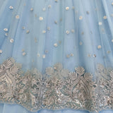 Charming Georgette Top Lehenga