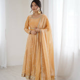 Pretty Fandy Silk Anarkali Gown