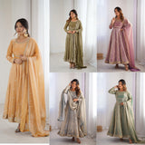 Pretty Fandy Silk Anarkali Gown