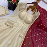 Occasionally Designer Anarkali Gown