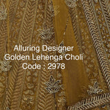 Alluring Wedding Handwork Lehenga