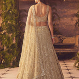 Stunning Royal Wedding Handwork Lehenga