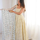 Dashing Mirror Work Duppta Suit