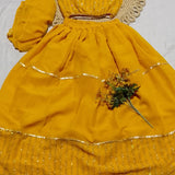 Beautiful Organza Kids Lahenga