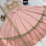 Crafted Georgette Gown Lehenga