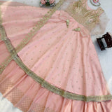 Crafted Georgette Gown Lehenga