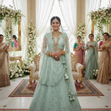 Beautiful Butterfly Net Embroidered Lehenga