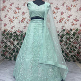 Beautiful Butterfly Net Embroidered Lehenga