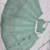 Beautiful Butterfly Net Embroidered Lehenga