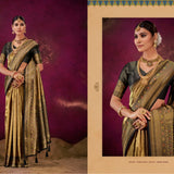 Shimmering Banarasi Katan Silk Saree