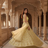 Beautiful Golden Embroidered Lehenga