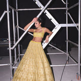 Beautiful Golden Embroidered Lehenga