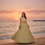 Beautiful Golden Embroidered Lehenga