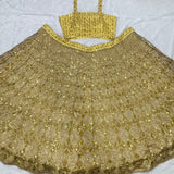 Beautiful Golden Embroidered Lehenga
