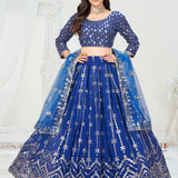 Occasionally Embroidered Lehenga Choli