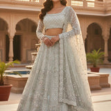 Premium Net Embroidered Lehenga