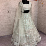 Premium Net Embroidered Lehenga