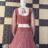 Premium Net Embroidered Lehenga