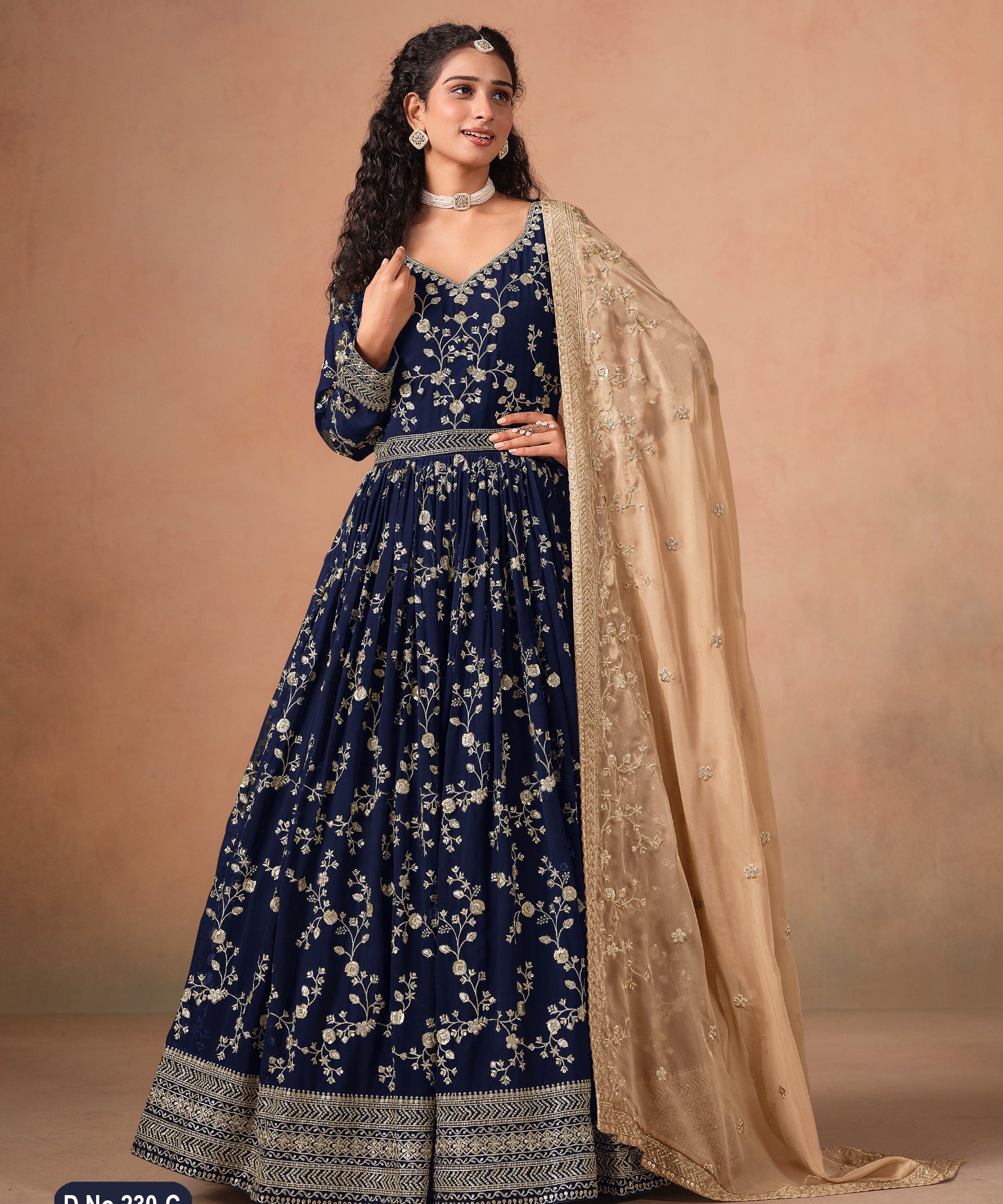 Aanaya Georgette Embroidered Gown
