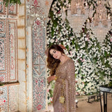 Gunjal Premium Butterfly Net Saree