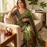 Boutique Shaded Chiffon Saree