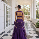 Alizeh Fancy Silk Lehenga Choli