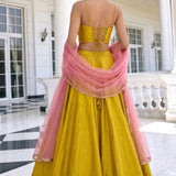 Alizeh Fancy Silk Lehenga Choli