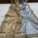 Viscose Organza Dual Tone Saree