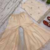 Stylish Fandy Silk Mirror Work Suit