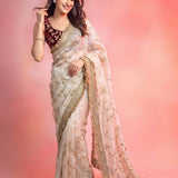Space Stin Sequence Work Saree