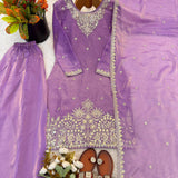 Ethnic Fandy Silk Top Bottom