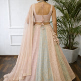 Light Treeton Bridal Georgette Lehenga