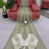 Beautiful Heavy Twill Net Saree