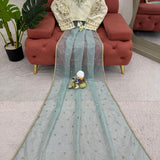 Beautiful Heavy Twill Net Saree