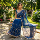 Stunning Partylook Handwork Saree