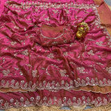 Stunning Partylook Handwork Saree