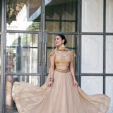 Dreamy Elakshi Fendy Silk Lehenga