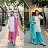 Beautiful Embroidered Pakistani Suit