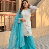 Beautiful Embroidered Pakistani Suit