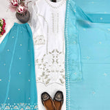 Beautiful Embroidered Pakistani Suit